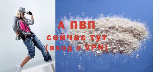 гашик Богданович