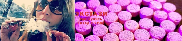 гашик Богданович