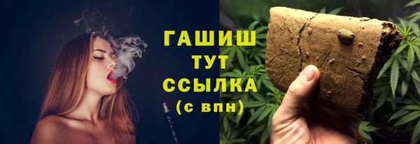 гашик Богданович