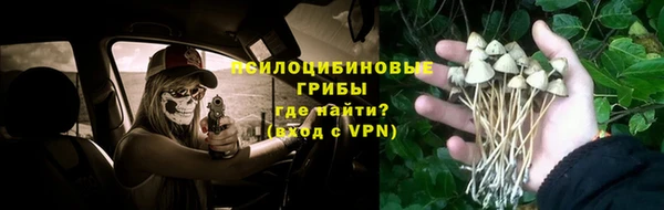 гашик Богданович