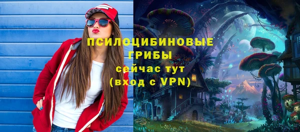 дживик Баксан