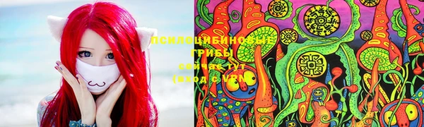 трава Богородицк