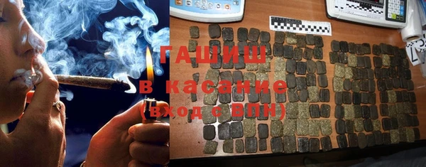 гашик Богданович