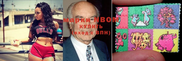 прущие грибы Богородск