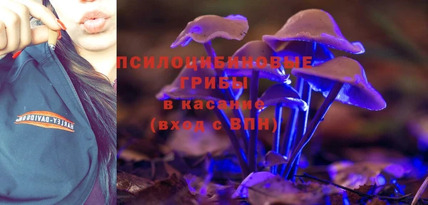 гашик Богданович